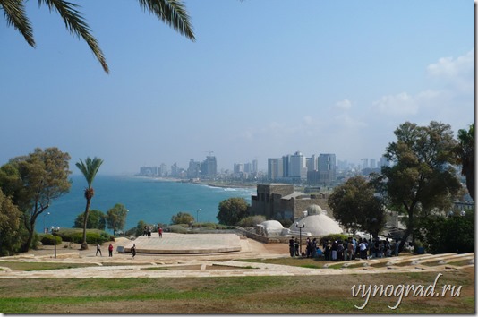 На фотографии показан вид на Тель-Авив со стороны города Яффо. Ссылка-напоминание, что Тель-Авив-Яффо - единый город...
